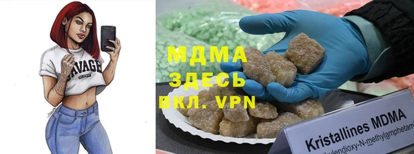 индика Алзамай