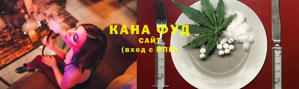 индика Алзамай