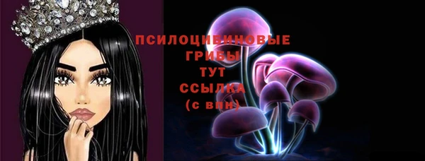 индика Алзамай