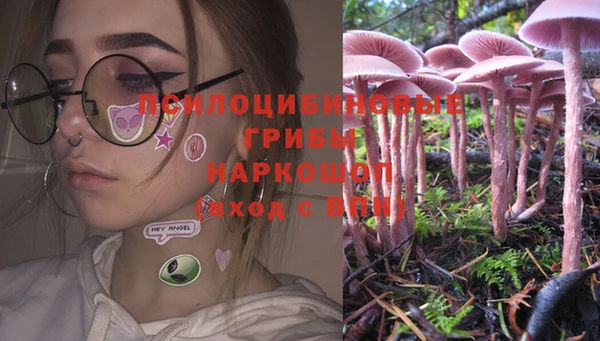 скорость Абаза