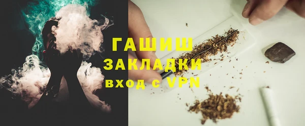 индика Алзамай