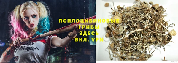прущая мука Алексин