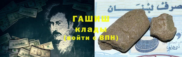 индика Алзамай