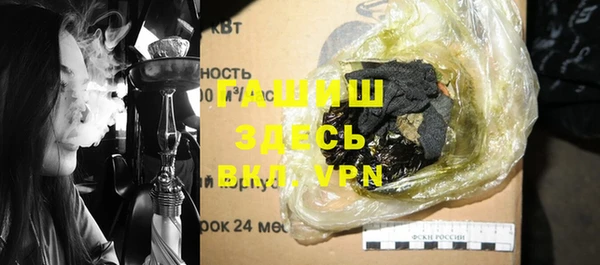индика Алзамай