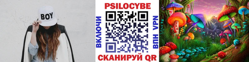 как найти закладки  блэк спрут онион  Галлюциногенные грибы Magic Shrooms  Севастополь 