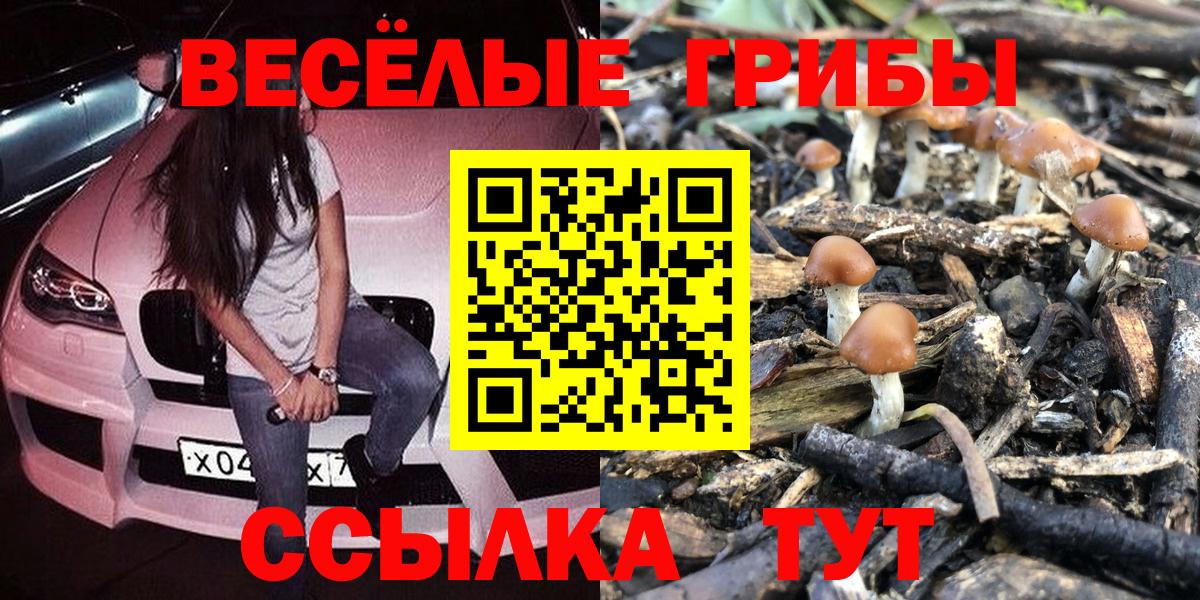 Галлюциногенные грибы MAGIC MUSHROOMS  Вход с VPN  Севастополь 